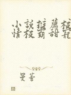 小说推荐校园言情校霸甜宠