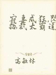 宠妻成狂,闪婚总裁太霸道