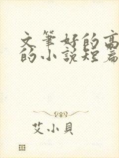 文笔好的高质量的小说短篇言情