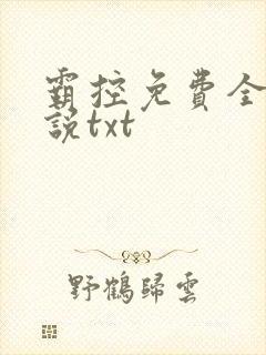 霸控免费全本小说txt