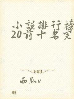 小说排行榜2020前十名完结版