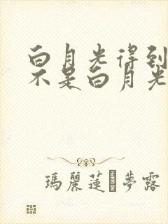 白月光得到了就不是白月光了