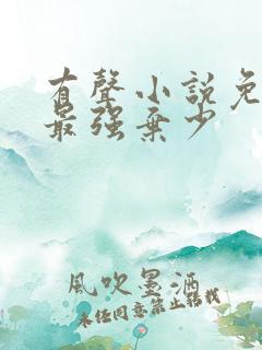 有声小说免费听最强弃少