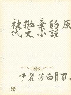 被抛弃的原配年代文小说