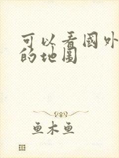 可以看国外街景的地图