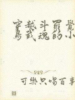 穿越斗罗觉醒雷鸟武魂的小说