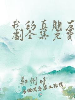 我的真朋友电视剧全集免费观看