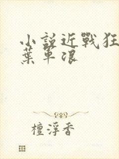 小说近战狂兵,叶军浪