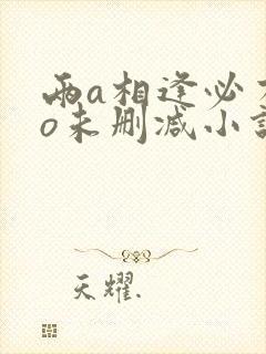 两a相逢必有一o未删减小说