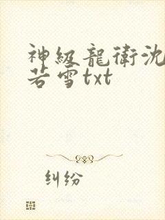 神级龙卫沈浪苏若雪txt