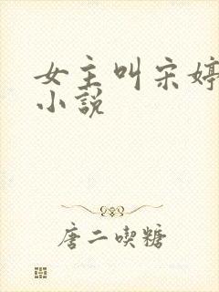 女主叫宋婷婷的小说