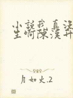 小说我真没想重生啊陈汉升全文阅读