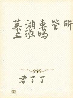 芜湖车管所周六上班吗