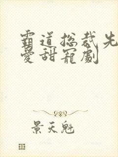 霸道总裁先婚后爱甜宠剧