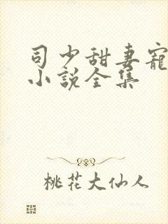 司少甜妻宠定了小说全集
