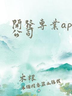 开发专业app公司