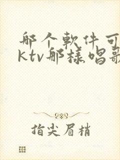 哪个软件可以像ktv那样唱歌