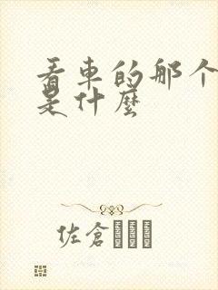 看车的那个软件是什么