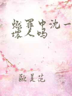 燃罪中沈一人是坏人吗