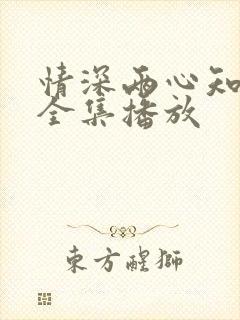 情深两心知短剧全集播放