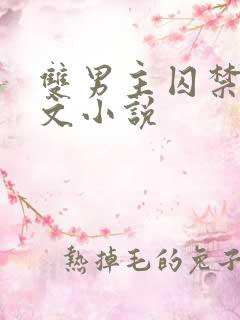 双男主囚禁生子文小说