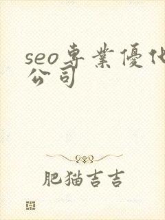 seo专业优化公司