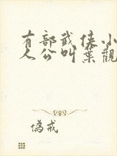 有部武侠小说主人公叫叶观的小说