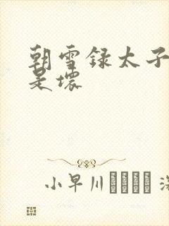 朝雪录太子是好是坏