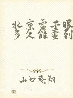 北京电子眼违章多久能查到