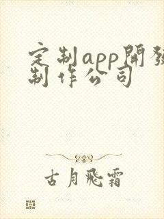 定制app开发制作公司
