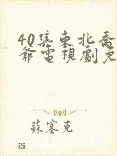 40集东北乔四爷电视剧免费观看