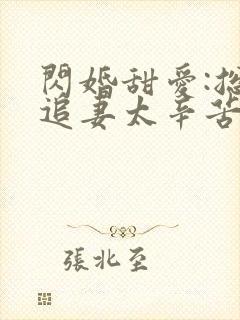 闪婚甜爱:总裁追妻太辛苦