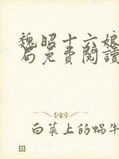 魏昭十六娘的结局免费阅读