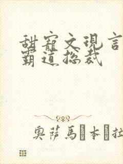 甜宠文现言推荐霸道总裁