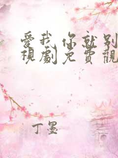 爱我你就别走电视剧免费观看全集