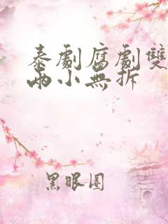 泰剧腐剧双男主两小无拆