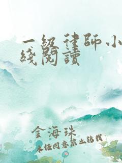 一级律师小说在线阅读
