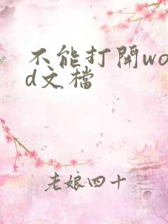 不能打开word文档