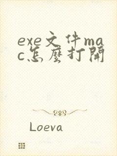 exe文件mac怎么打开