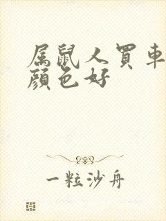 属鼠人买车什么颜色好