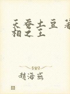 天蚕土豆 著万相之王