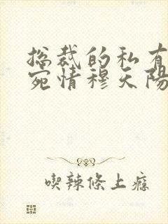 总裁的私有宝贝宛情穆天阳的小说