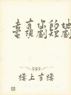 去有你的地方2电视剧短剧免费观看