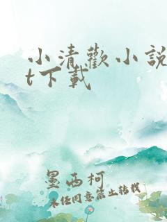 小清欢小说txt下载