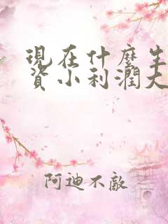 现在什么生意投资小利润大