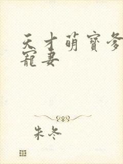 天才萌宝爹地超宠妻