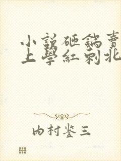 小说砸锅卖铁去上学红刺北最新章节阅