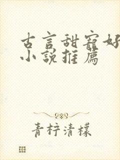 古言甜宠好看的小说推荐