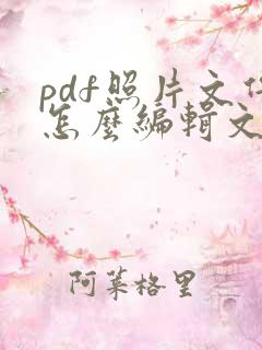 pdf照片文件怎么编辑文字