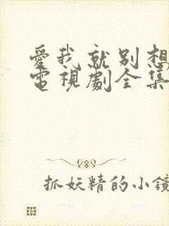 爱我就别想太多电视剧全集免费观看完整版